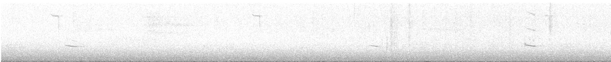 チャイロコツグミ（faxoni／crymophilus） - ML635672194