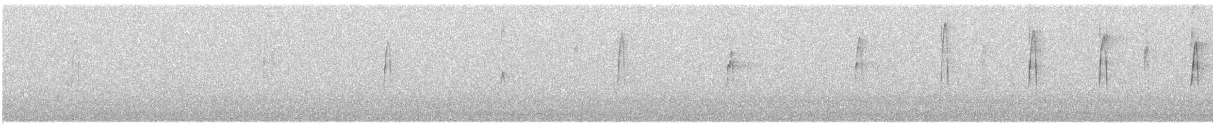 Oilagorra - ML635676866