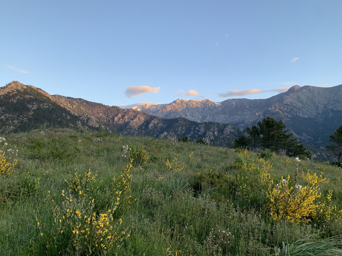 undefined - Casper (Philip) Leygraaf