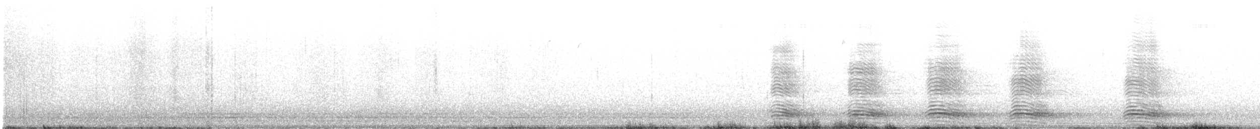 Corbeau à gros bec - ML635681267