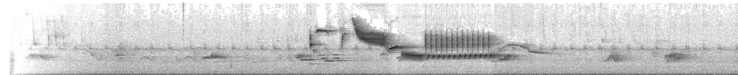 Bewick's Wren - ML635681720