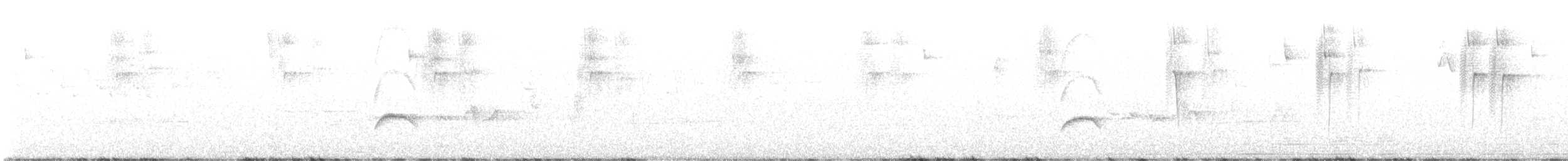 Sierran Elaenia - ML635682691