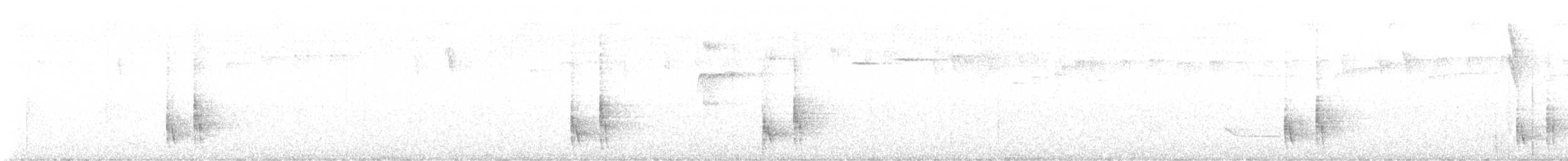 Plain-tailed Wren - ML635683064