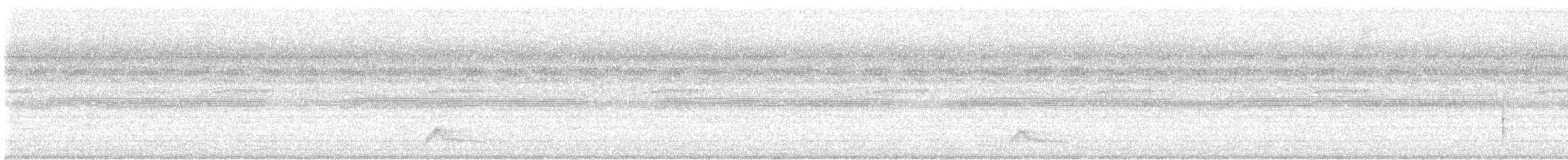 Common Pauraque - ML635686388