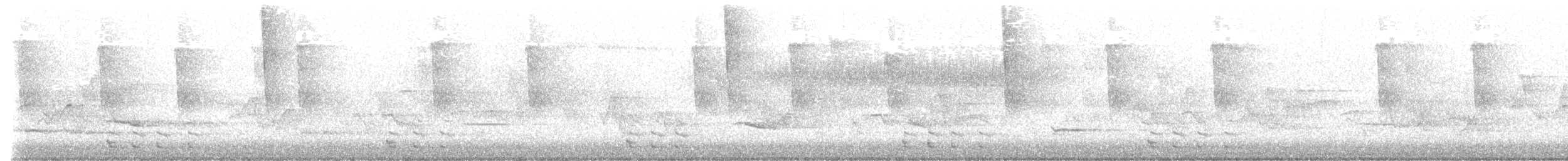 Black-billed Cuckoo - ML635686940