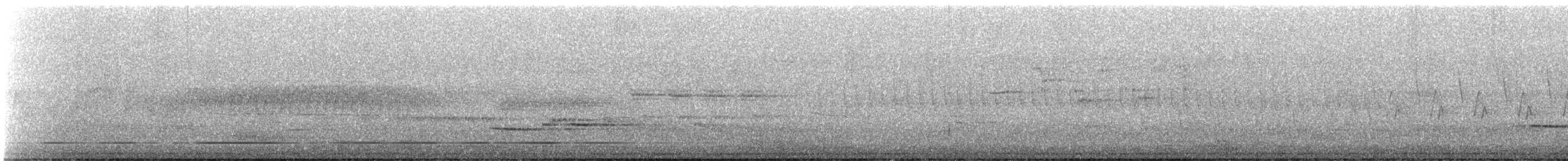 Hermit Thrush (faxoni/crymophilus) - ML635688410