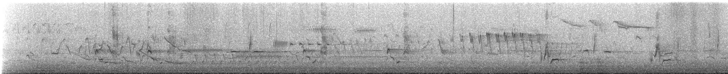 Wilson's Warbler - ML635688459