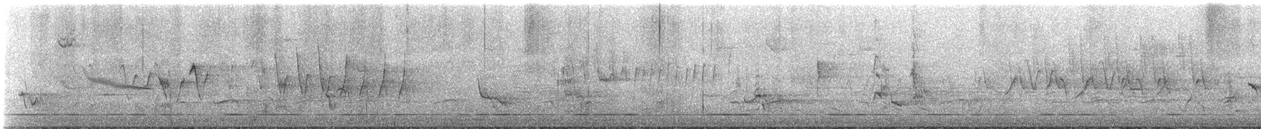 Northern Waterthrush - ML635688468