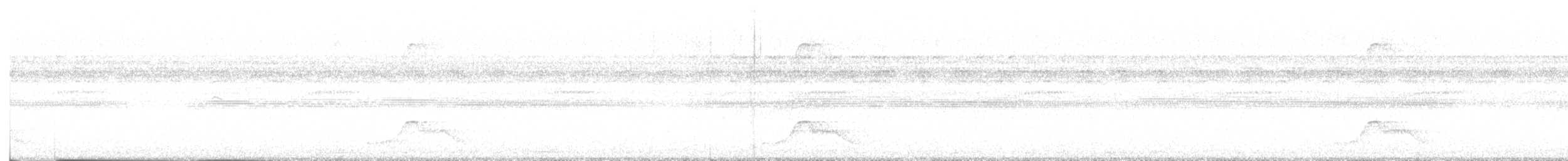 Common Pauraque - ML635689304