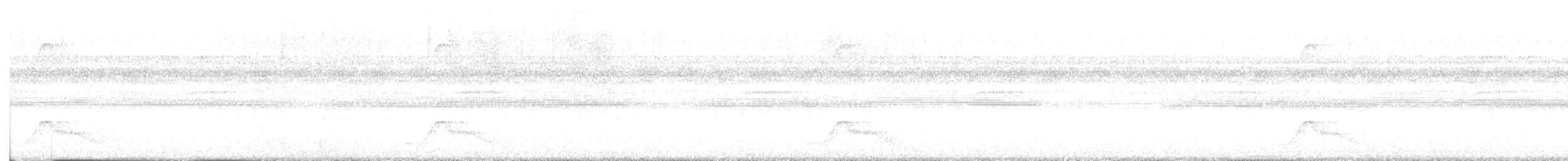 Common Pauraque - ML635689305