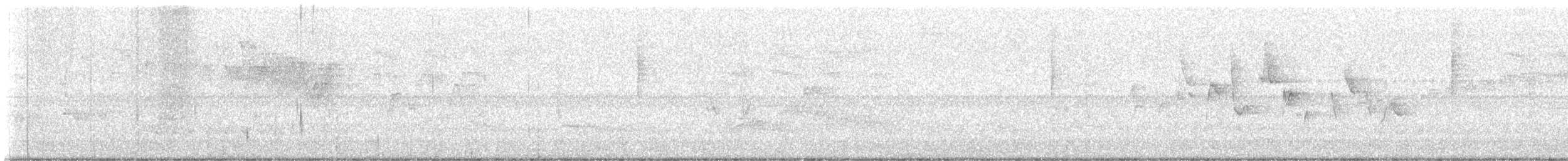 Canada Warbler - ML635690278