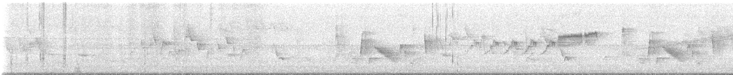 Connecticut Warbler - ML635691297