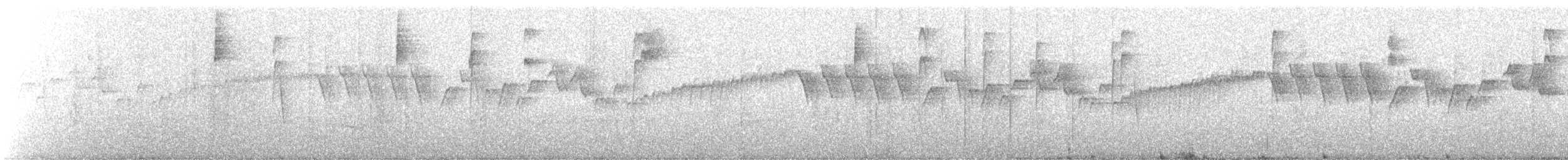 stripehodeparula - ML635699171