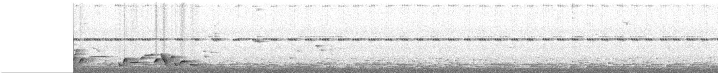 Whiskered Wren - ML635699180