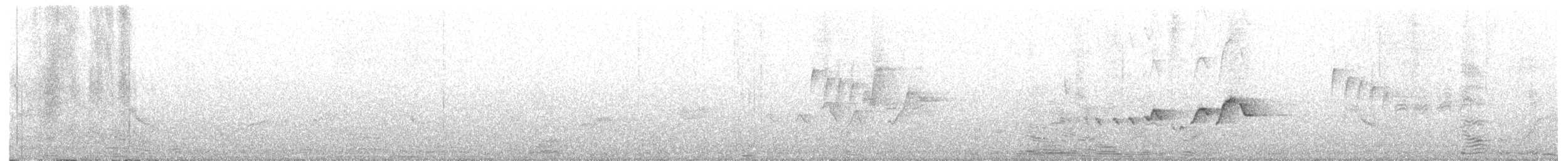 Hooded Warbler - ML635700224