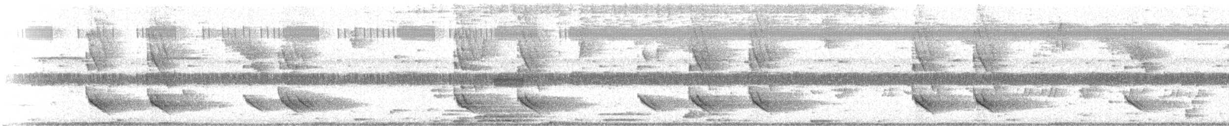 Black-chested Jay - ML635700482