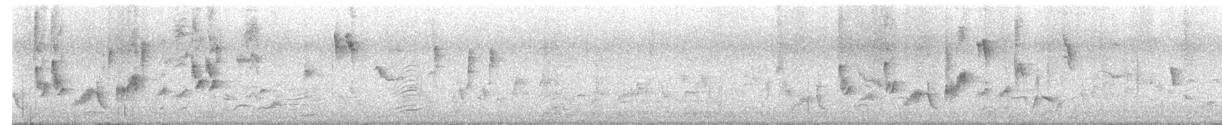 Sylvia/Curruca sp. - ML635702607