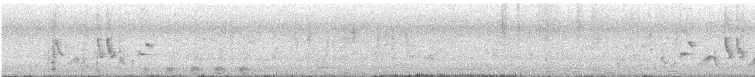 Sylvia/Curruca sp. - ML635702609