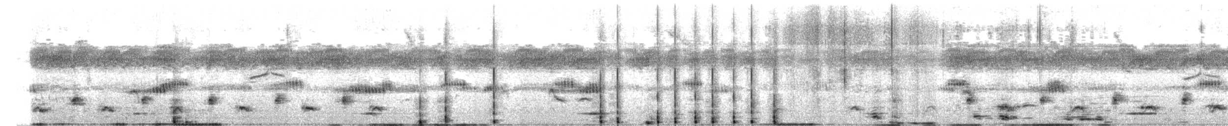 Jet Antbird - ML635703264