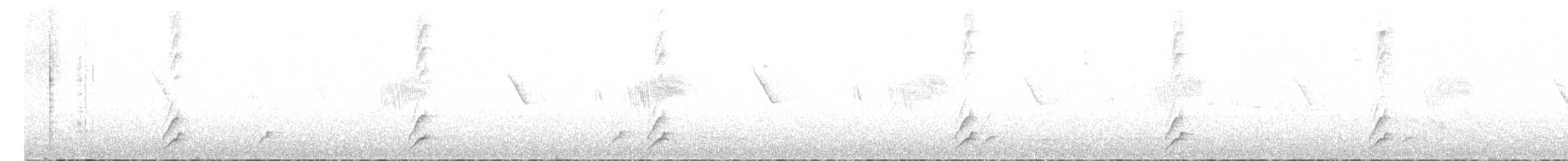 Blackish Tapaculo - ML635703589