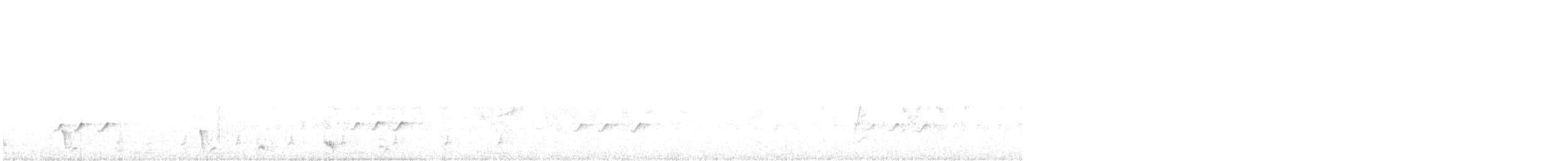 Piratic Flycatcher - ML635704071