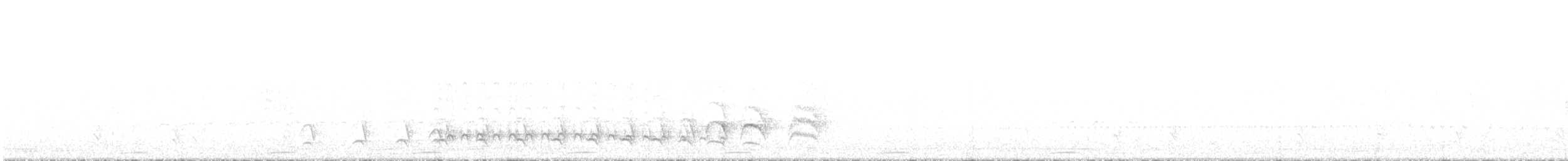 Black-crested Antshrike - ML635704193