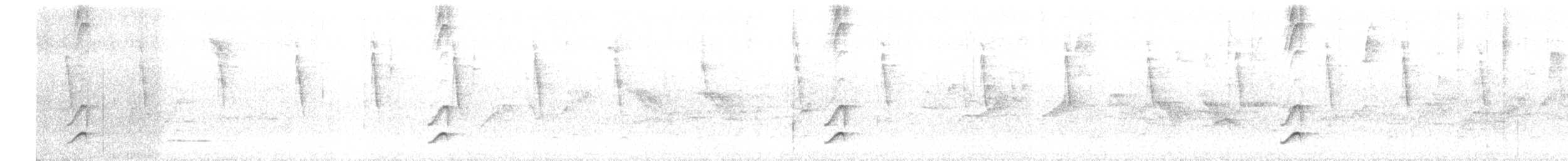 Чёрный тапакуло - ML635705502
