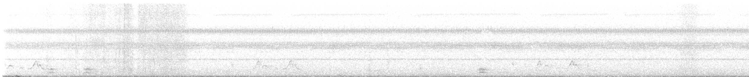 チャックウィルヨタカ - ML635705839