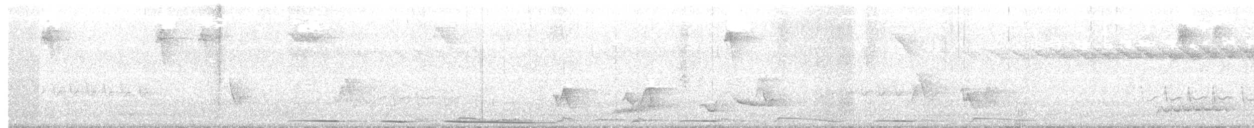 Caribbean Dove - ML635705898