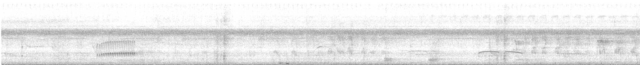 Yellow Tyrannulet - ML635708761