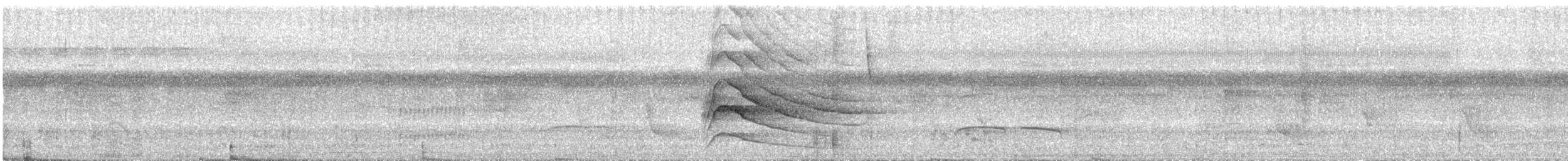 Roadside Hawk - ML635708787