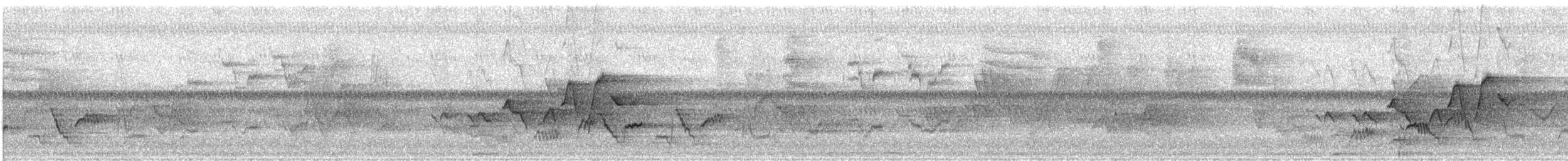 Swainson's Thrush - ML635709396