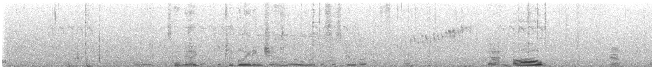 Northern Parula - ML635709441