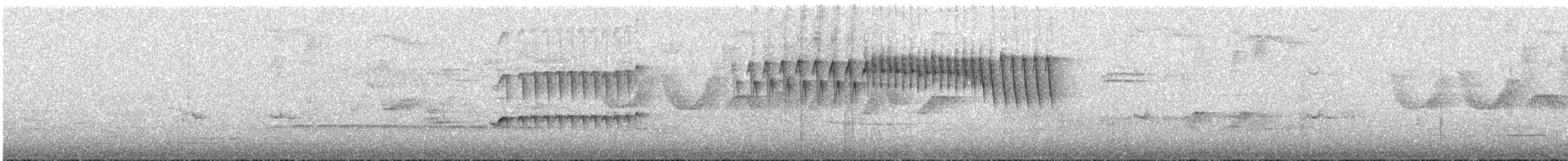 ノドジロコタイランチョウ - ML635709472