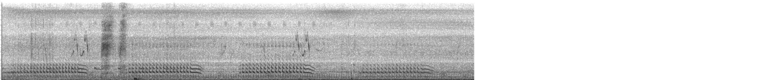 Ash-throated Crake - ML635711448