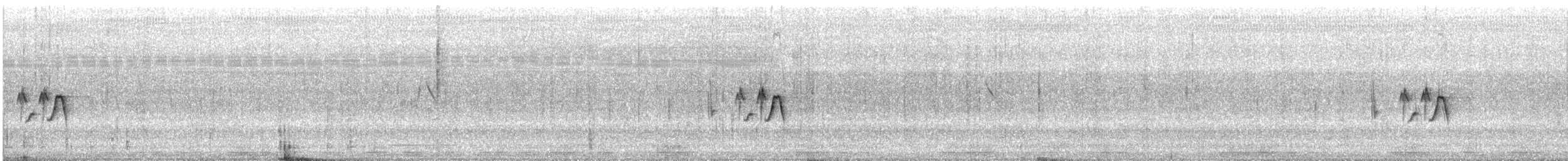 Wedge-tailed Grass-Finch - ML635711506