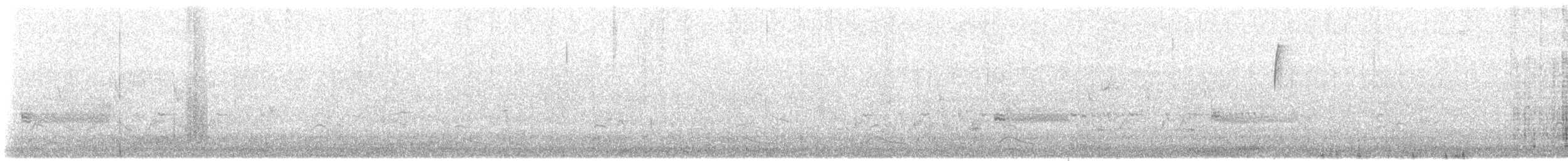 Great-tailed Grackle - ML635711979