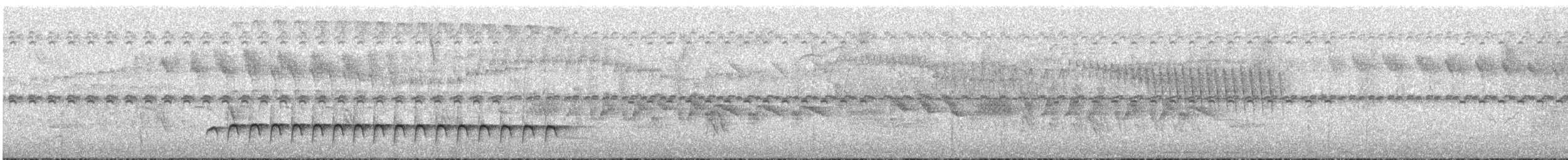 Western Fire-eye (Pacific) - ML635712430