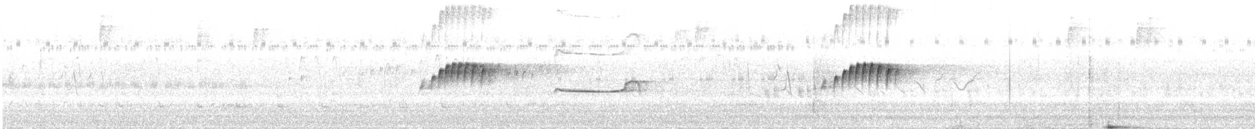 Tropical Kingbird - ML635712543