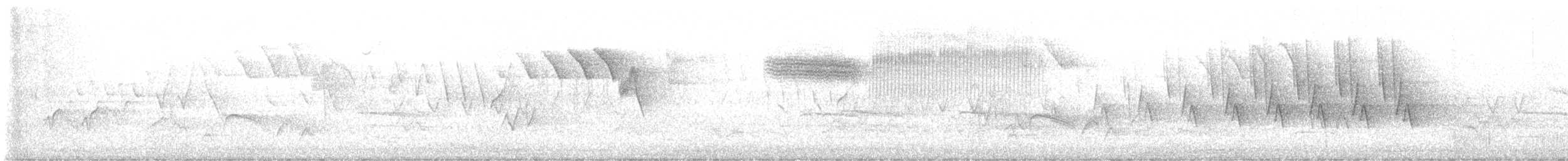 zelenáček bělooký - ML635712922