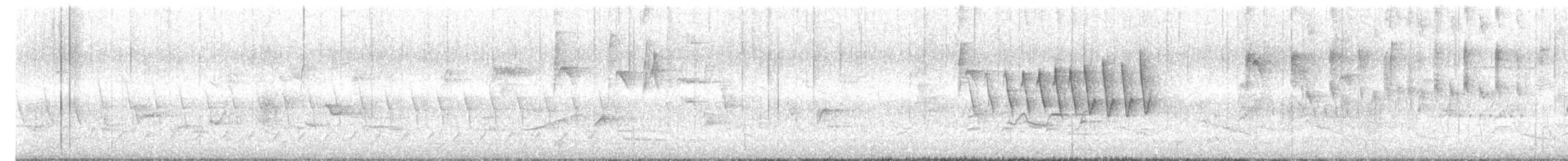 Paruline à calotte noire - ML635713236
