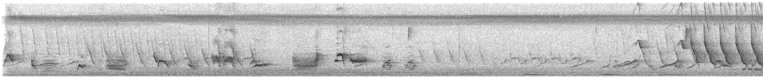 Long-billed Thrasher - ML635714624