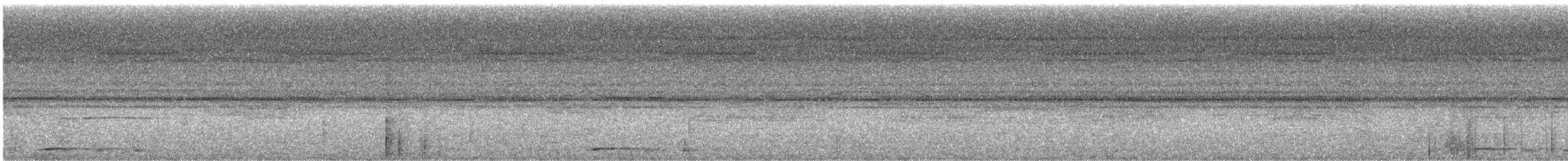 Dusky Pigeon - ML635714799