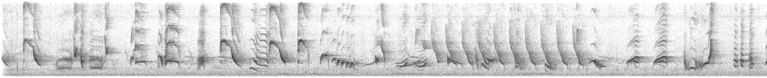 Long-billed Thrasher - ML635714930