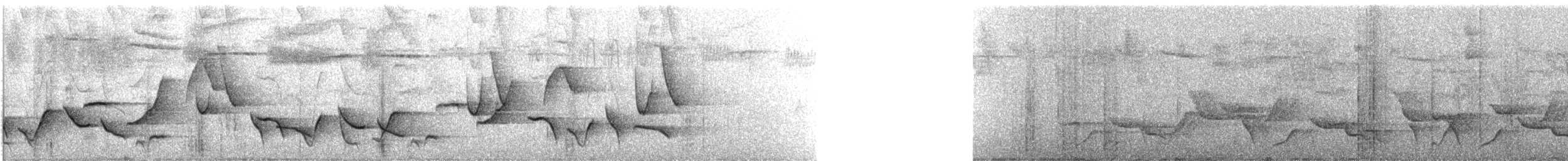 Inkazaunkönig - ML635715663