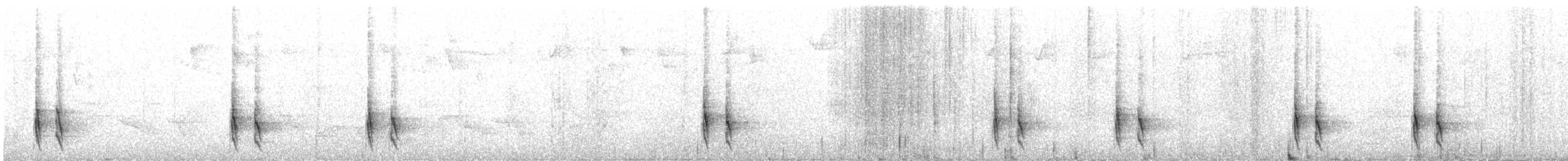 Inkazaunkönig - ML635715664