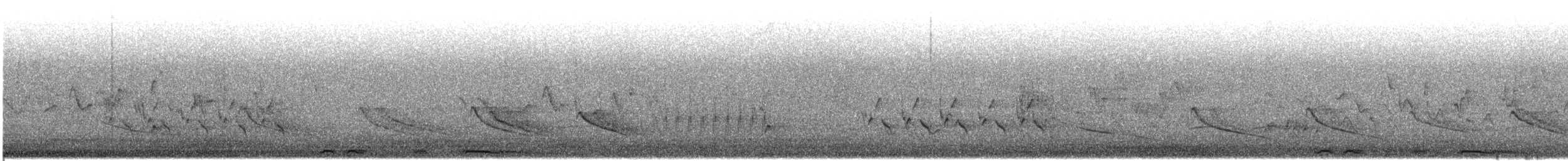 White-winged Dove - ML635716051