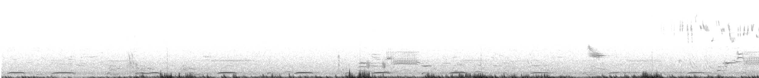 オビハシカイツブリ - ML635716327