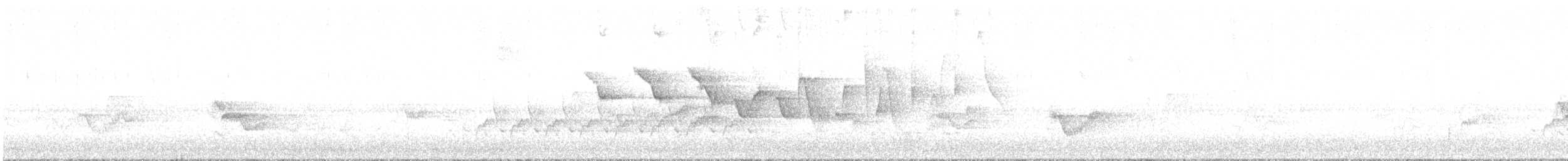 Louisiana Waterthrush - ML635716377