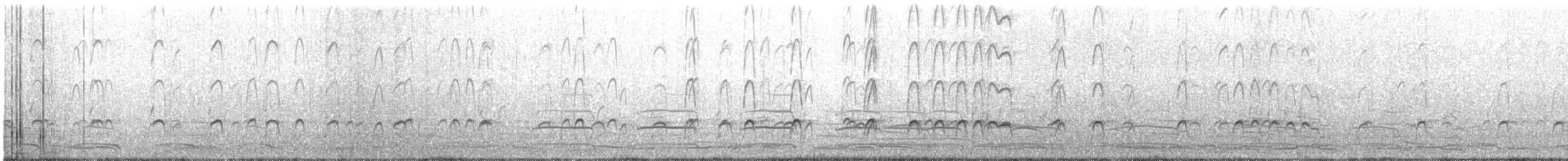 Black Oystercatcher - ML635717369